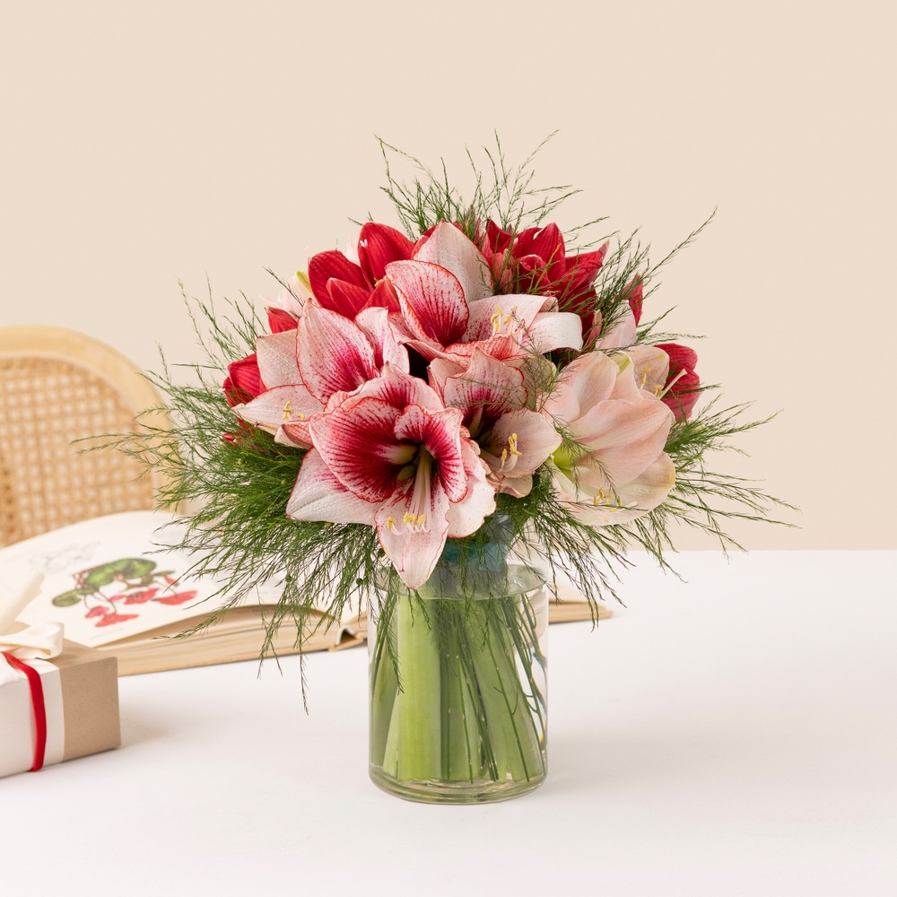 Brassée d'amaryllis