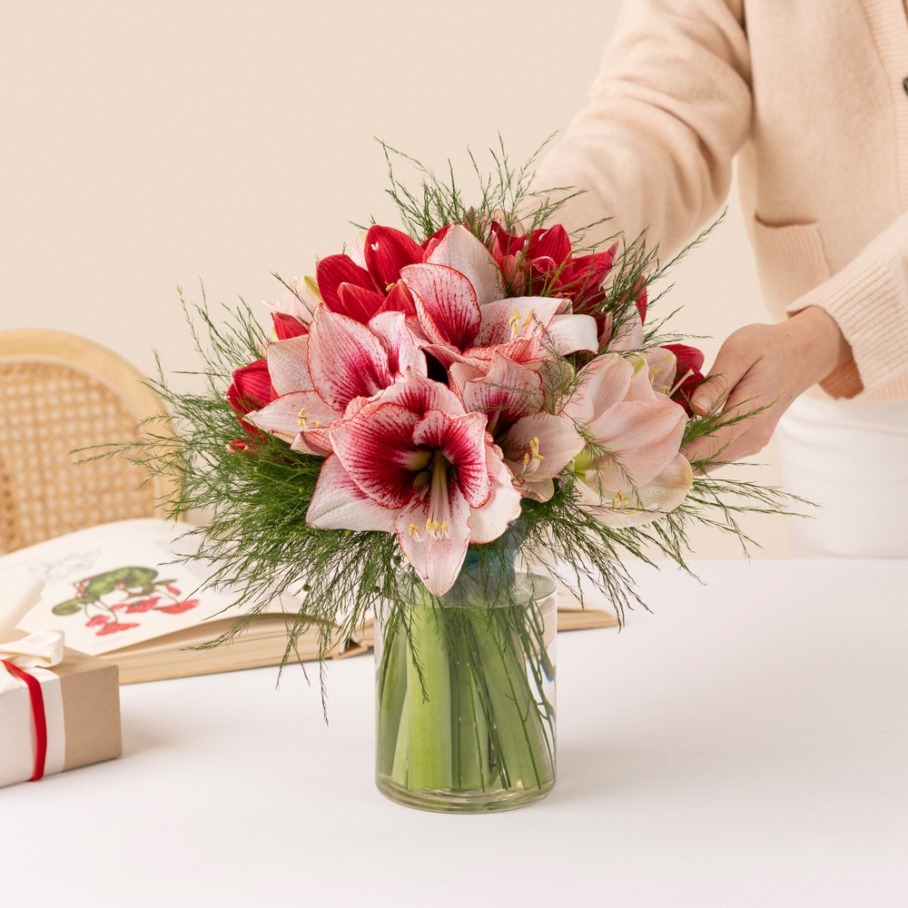 Brassée d'amaryllis