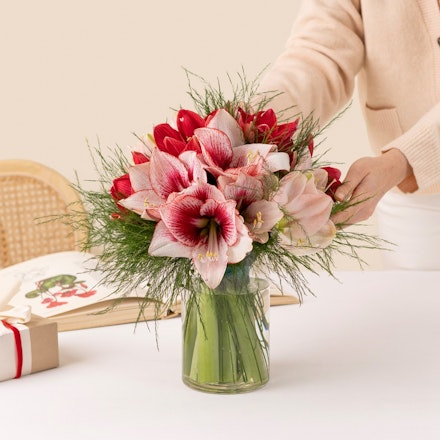 Brassée d'amaryllis