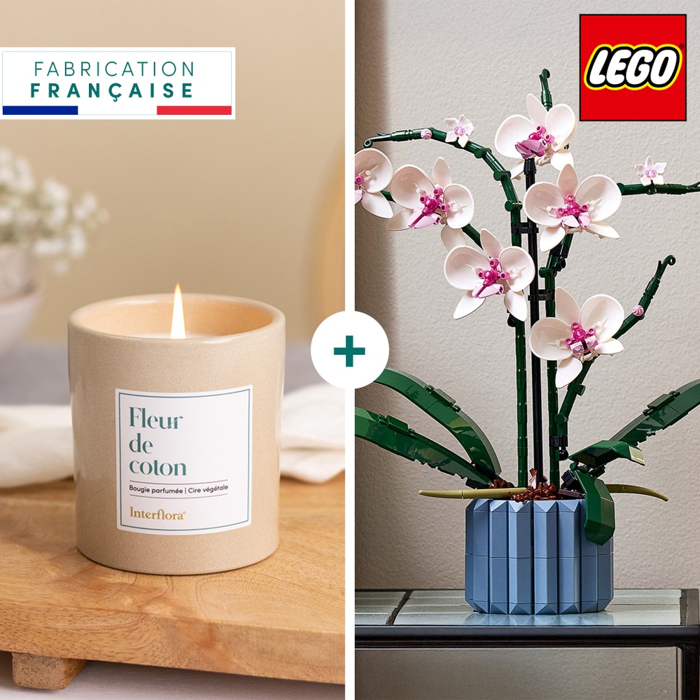 Coffret LEGO® Orchidée et bougie