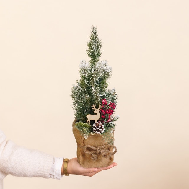 Sapin blanc et sa décoration de Noël