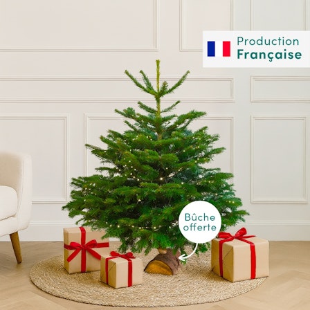 1750959075-1202857-2025