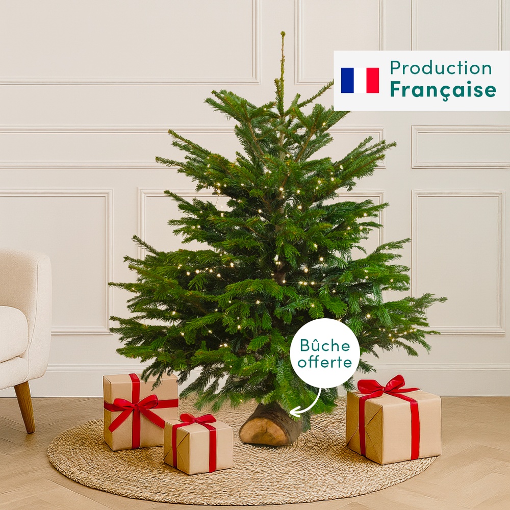 Sapin 125-150 cm Nordmann