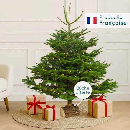 Sapin 150-175 cm Nordmann