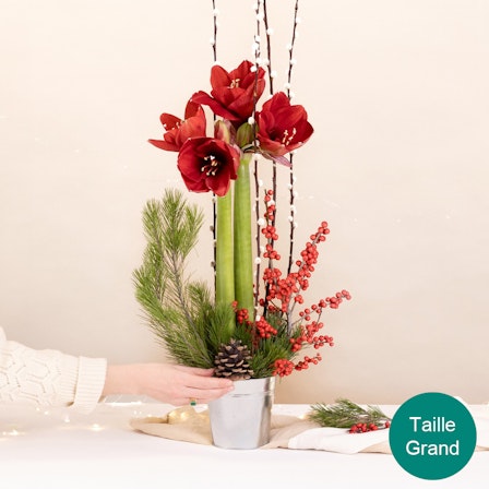 1750959075-1202857-2025