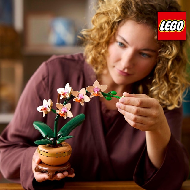 Duo LEGO® Orchidées