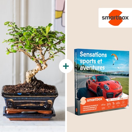 Duo Bonsai et Aventures