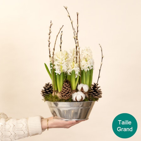 1750959075-1202857-2025