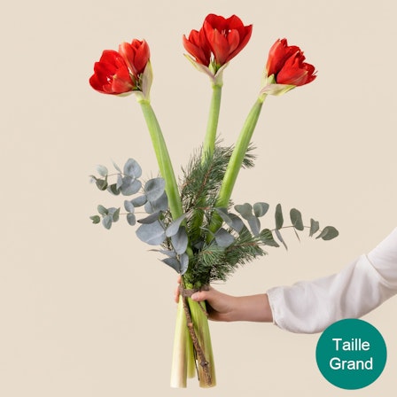 1750959075-1202857-2025