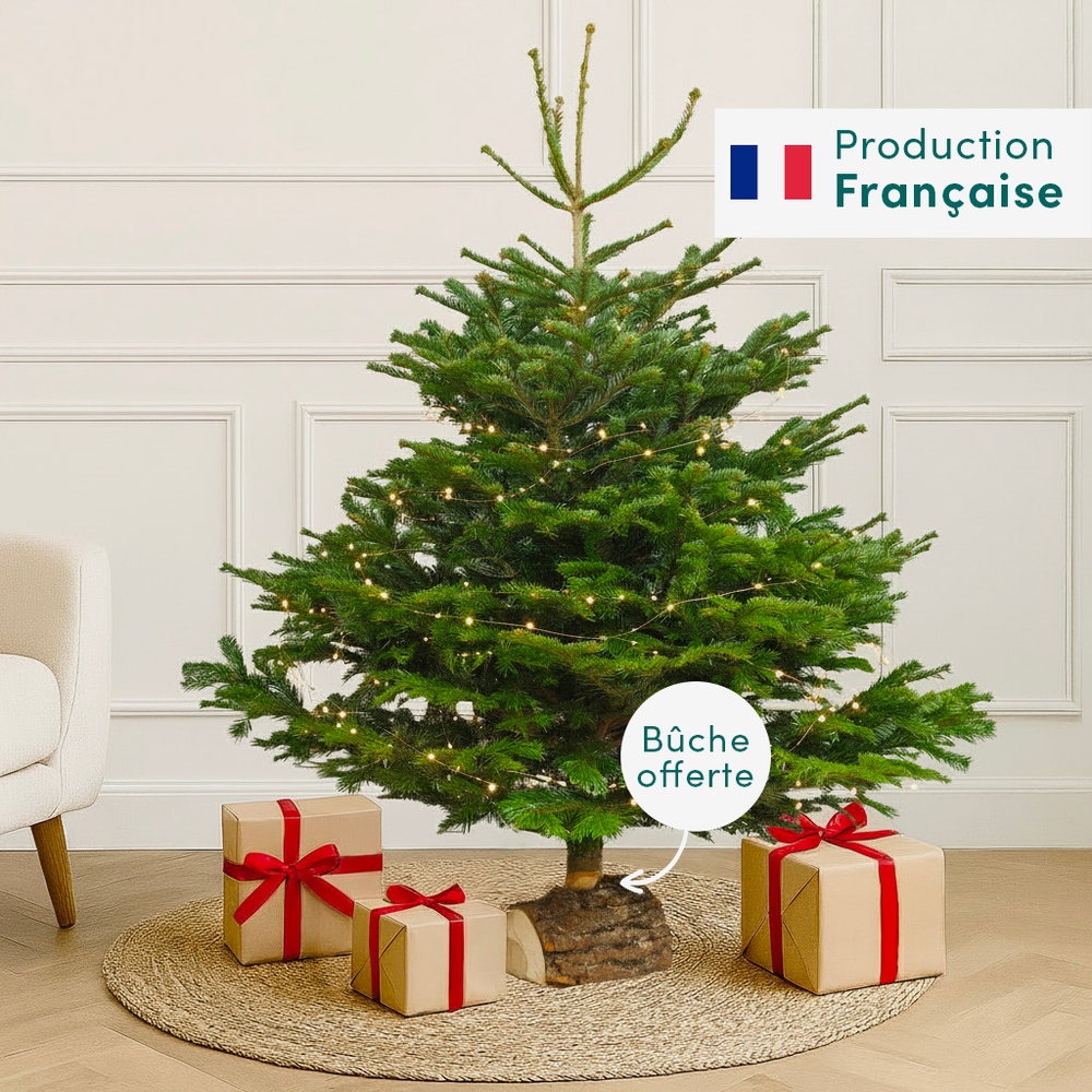 Sapin Nordmann 150-175 cm