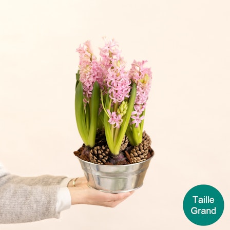 1750959075-1202857-2025