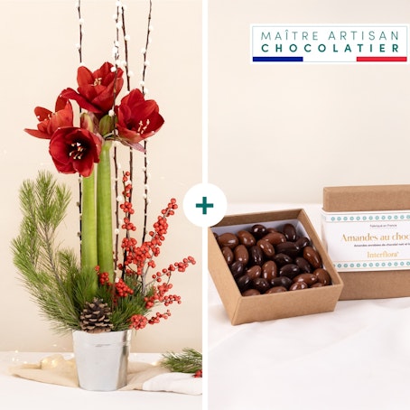 Fête enchantée et ses amandes au chocolat