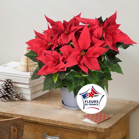 1750959075-1202857-2025