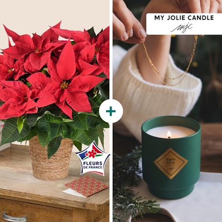 Poinsettia et sa bougie suprise de Noel