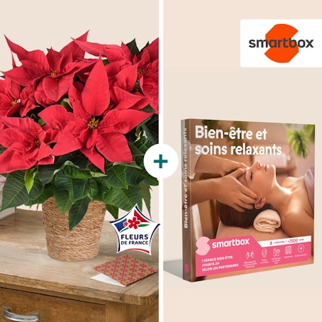 Poinsettia et son coffret Bien-être