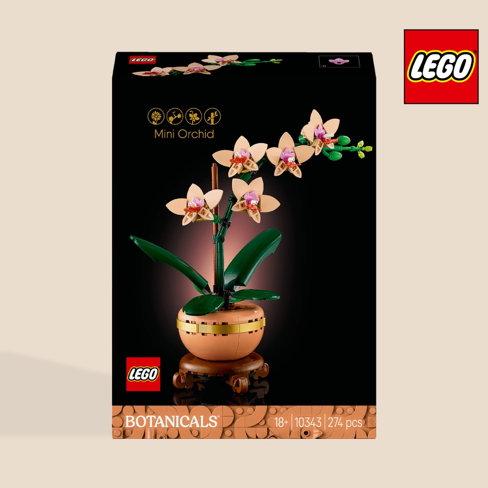 Duo Poinsettia et LEGO® Orchidée