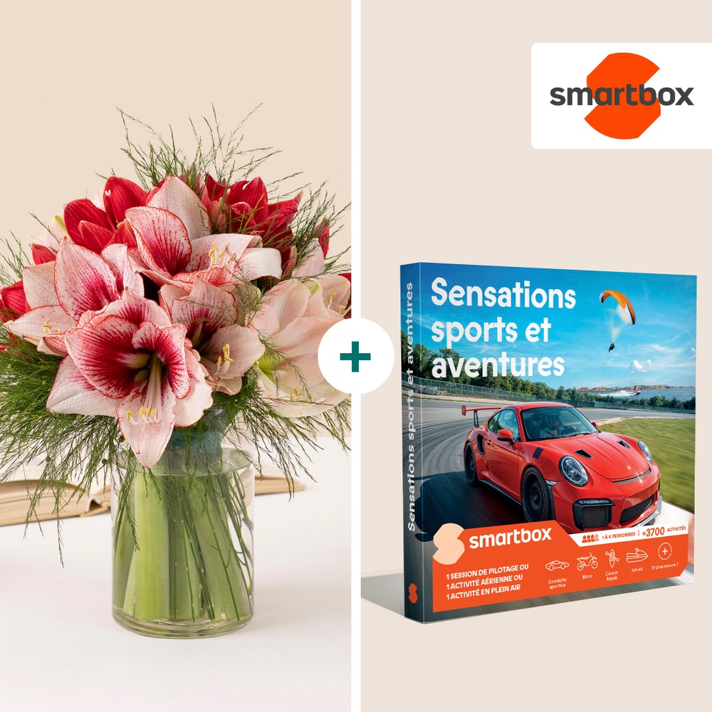Duo Amaryllis et Aventures