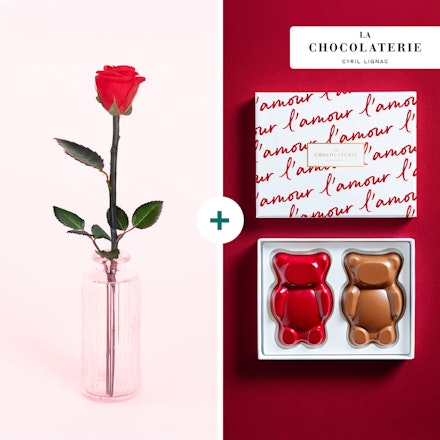 Rose éternelle et Oursons - La Chocolaterie Cyril Lignac