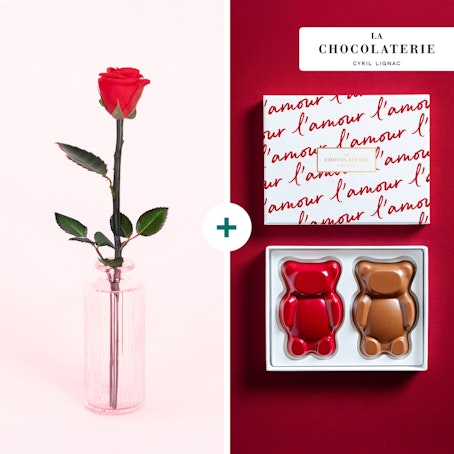 Rose éternelle et Oursons - La Chocolaterie Cyril Lignac