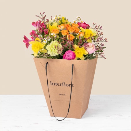 Câline et son sac cadeau offert