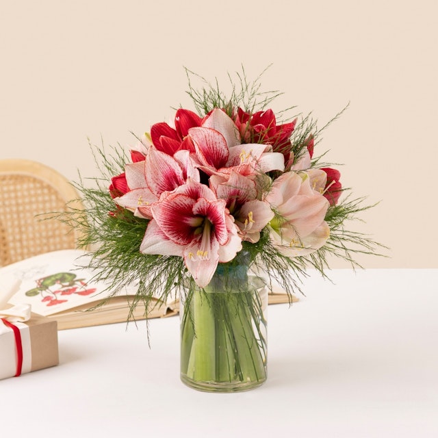 Brassée d'amaryllis