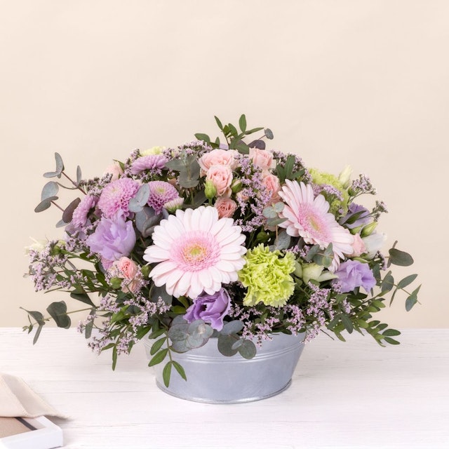 Zeste tendre et ses amandes au chocolat