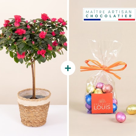 1750959075-1202857-2025