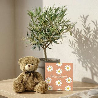 Coffret naissance plante