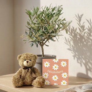 Coffret naissance plante