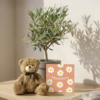 Coffret naissance plante
