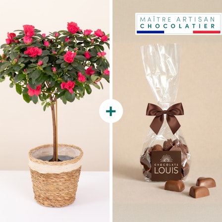 1750959075-1202857-2025