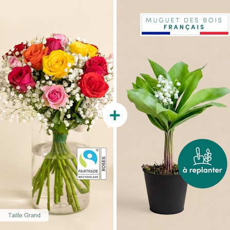 1750959075-1202857-2025