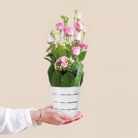 1750959075-1202857-2025