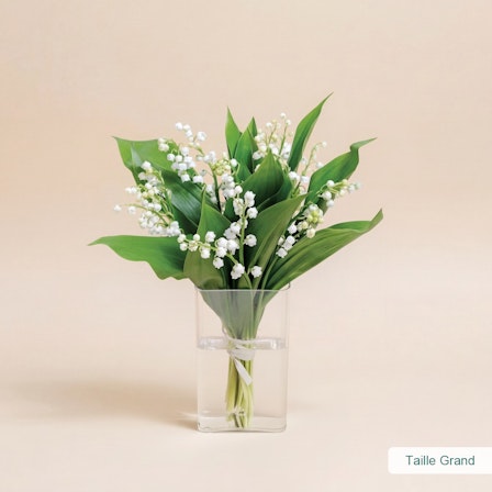 1750959075-1202857-2025