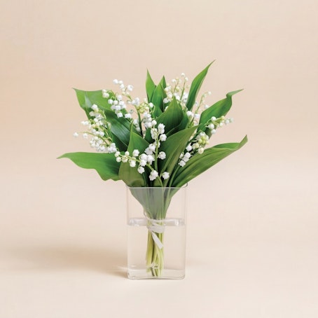 Bouquet de muguet
