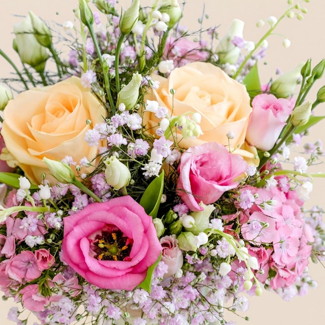 Petit bonheur et sa bulle d'eau