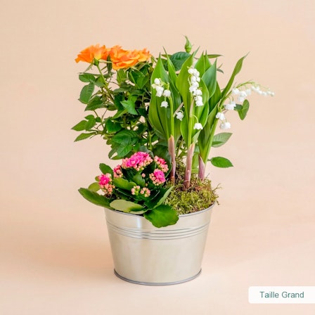 1750959075-1202857-2025