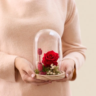 Composition rose éternelle rouge