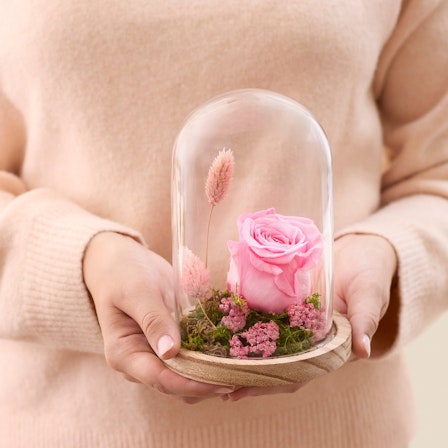 1750959075-1202857-2025