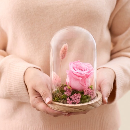 Composition rose éternelle rose