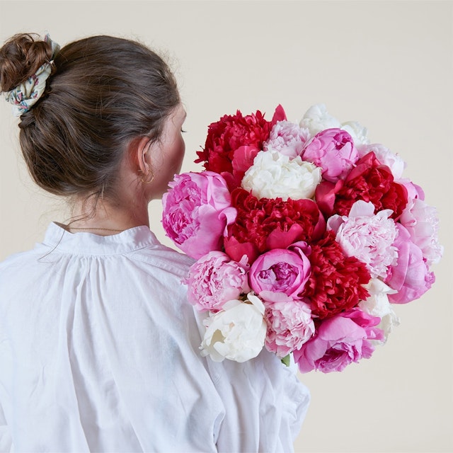 Brassée de pivoines variées