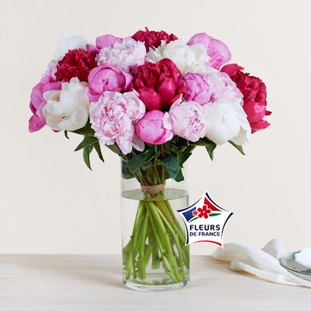 Brassée de pivoines variées