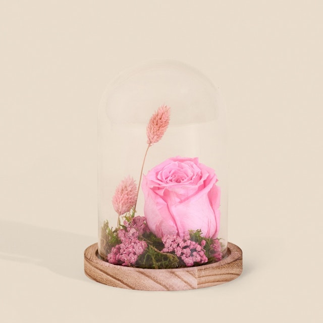 Composition rose éternelle rose