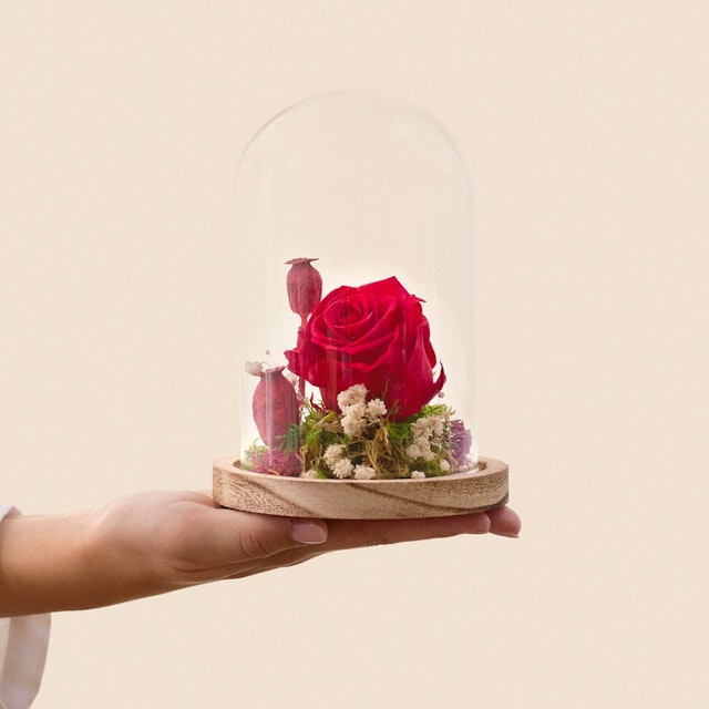 Composition rose éternelle rouge