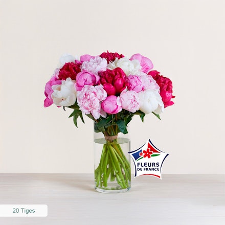 Brassée de pivoines variées