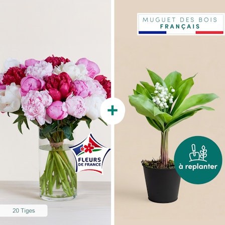 1750959075-1202857-2025