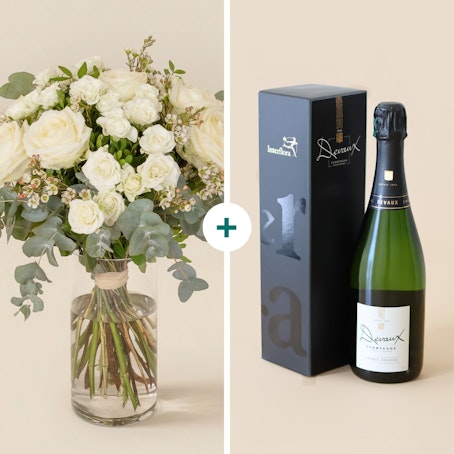 Vert coton et son champagne Devaux
