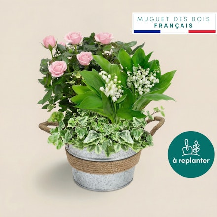 Jardin de muguet