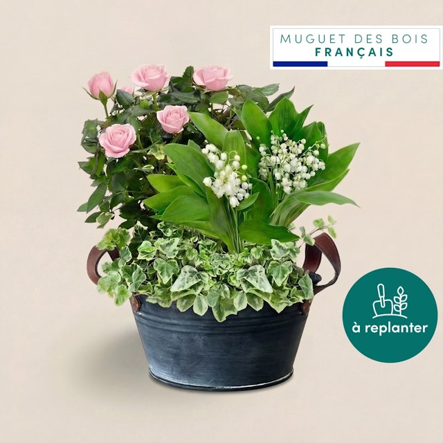 Jardin de muguet