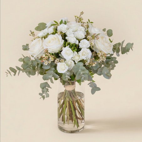 Vert Coton